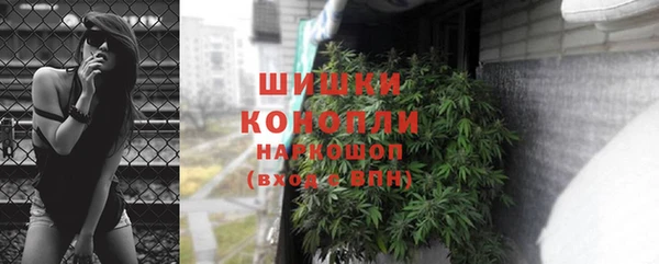 ешки Бородино