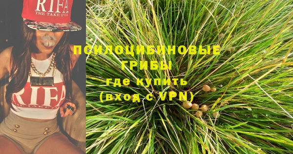 мет Богданович