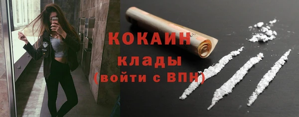 ешки Бородино