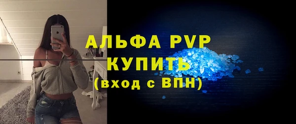 хмурый Пересвет