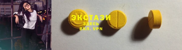 мдпв Богородицк