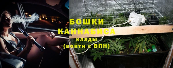 ешки Бородино