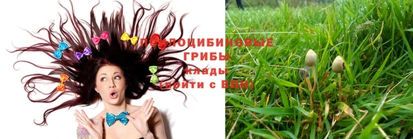ешки Бородино