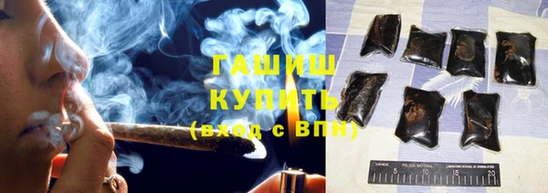 ешки Бородино
